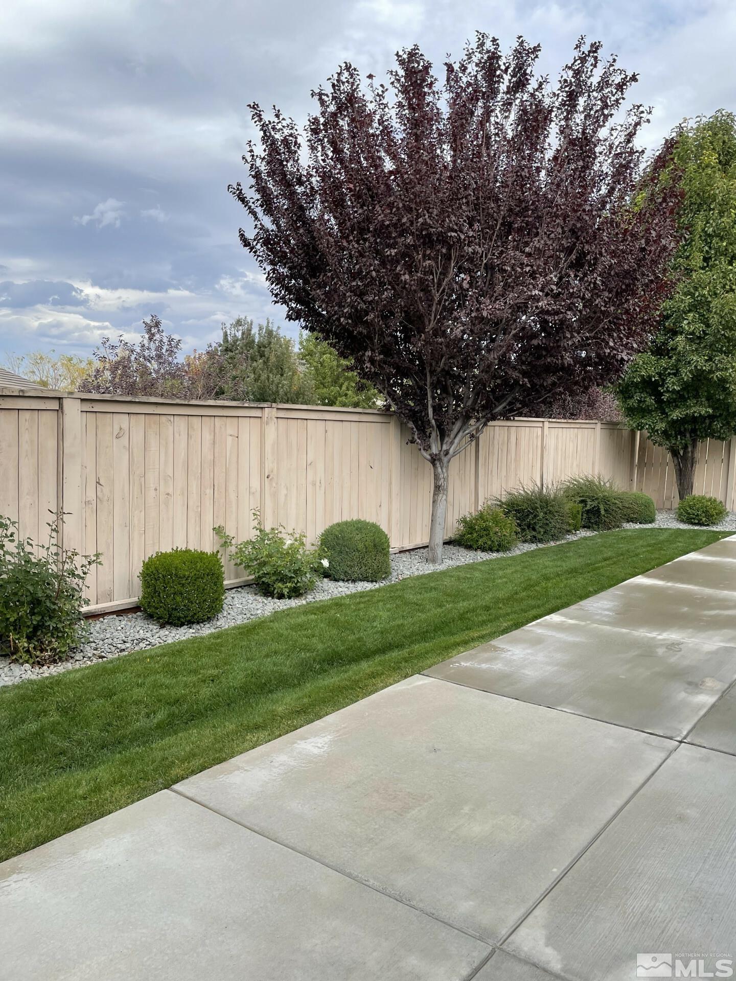 2087 Whitecliff Drive Reno, NV 89521 - Photo 33 of 33 a view of a garden with plants and large trees
