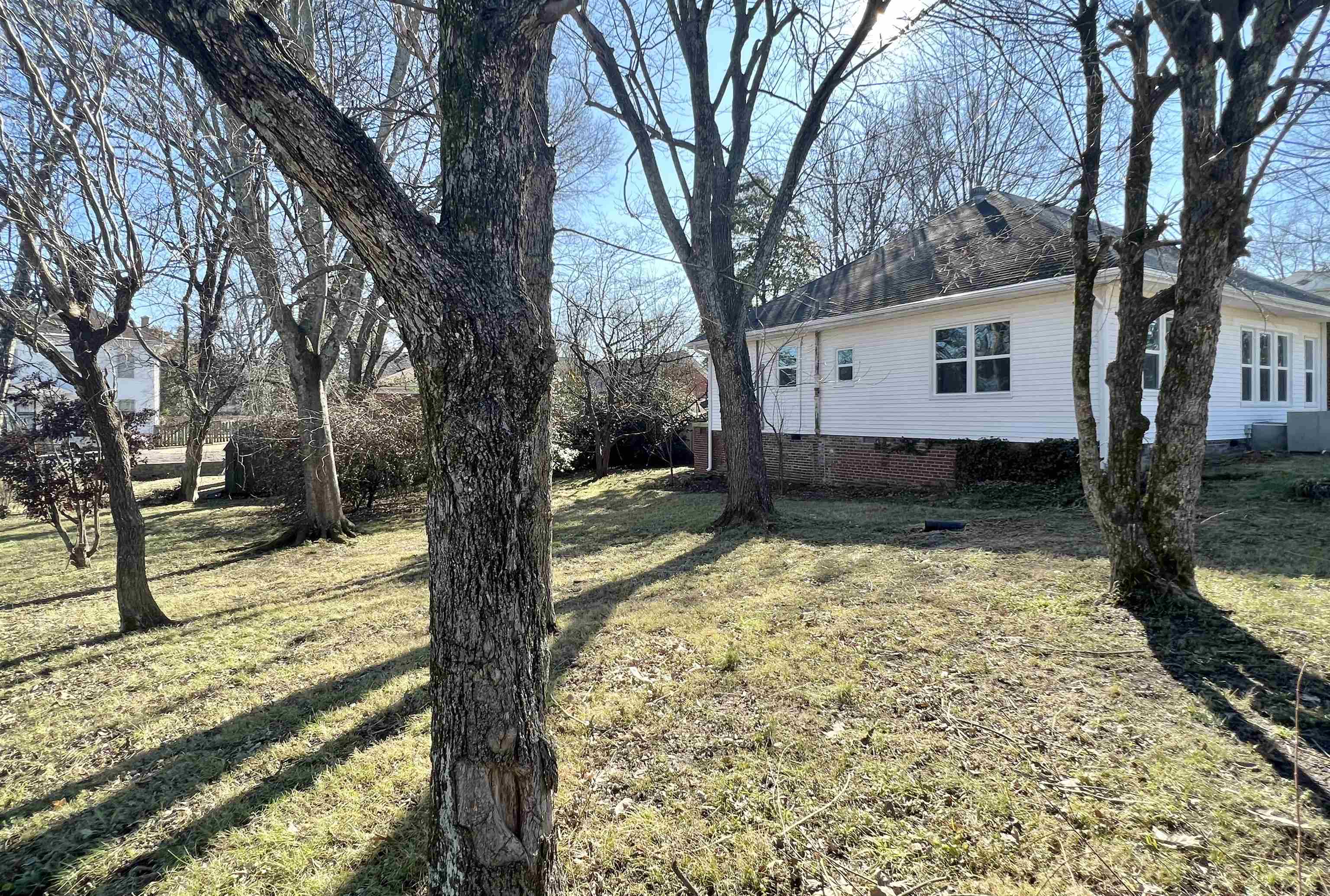 129 Wardlaw Circle Ripley, TN 38063 - Photo 21 of 24 a view of a yard with large tree