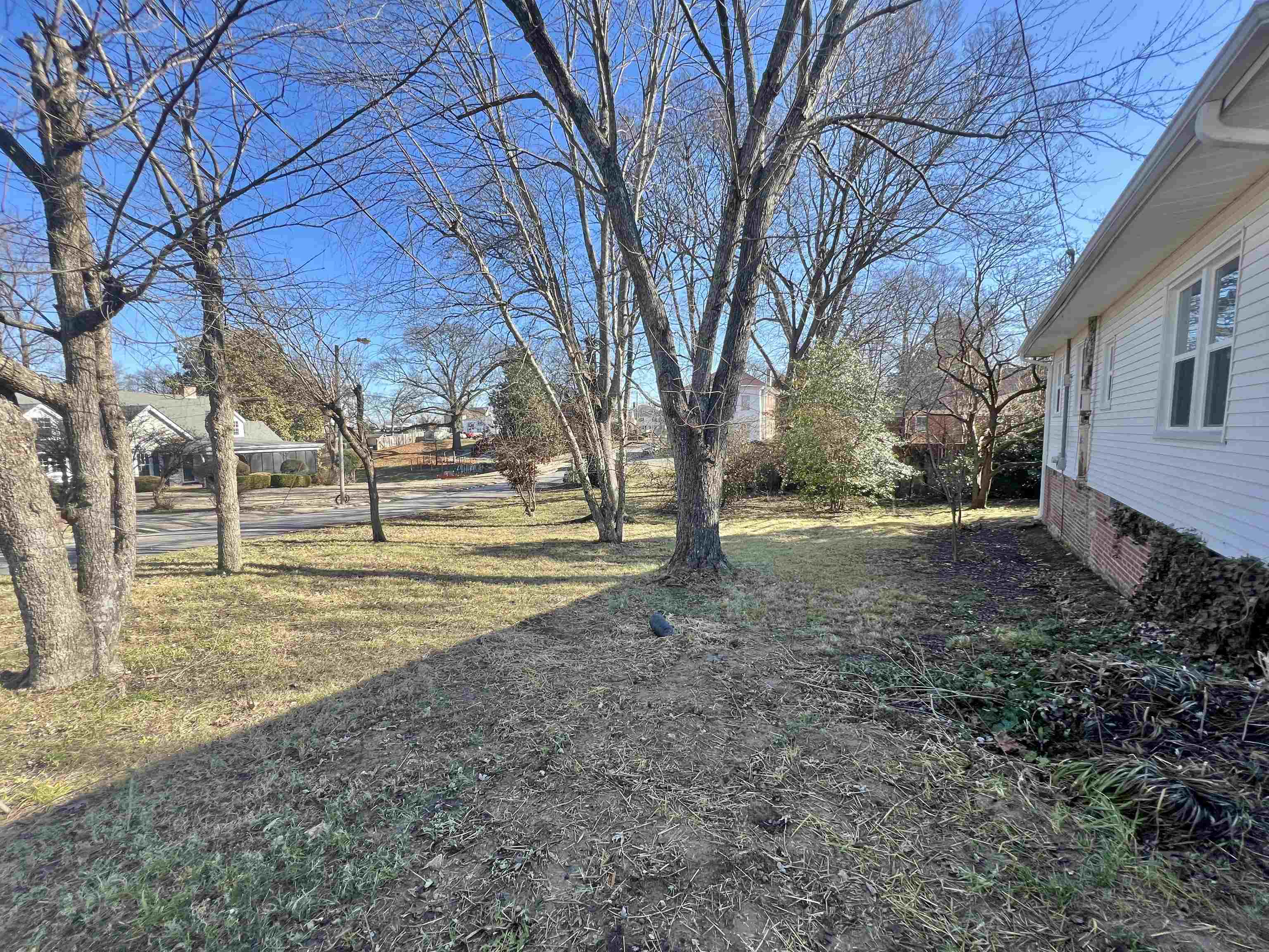 129 Wardlaw Circle Ripley, TN 38063 - Photo 6 of 24 a view of road with large trees