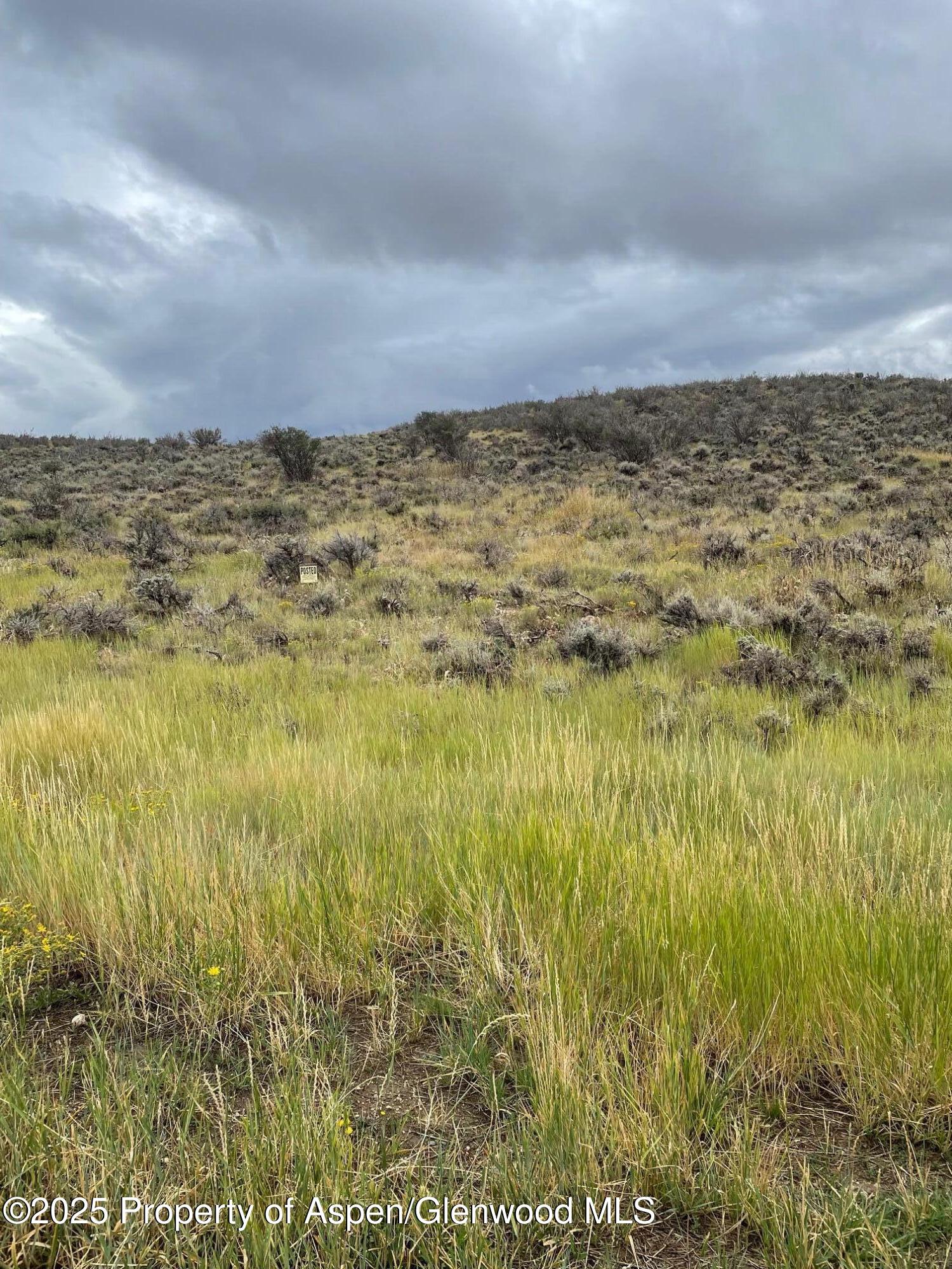 Tbd Pine Ridge Trail Craig, CO 81625 - Photo 4 of 10 a view of ocean