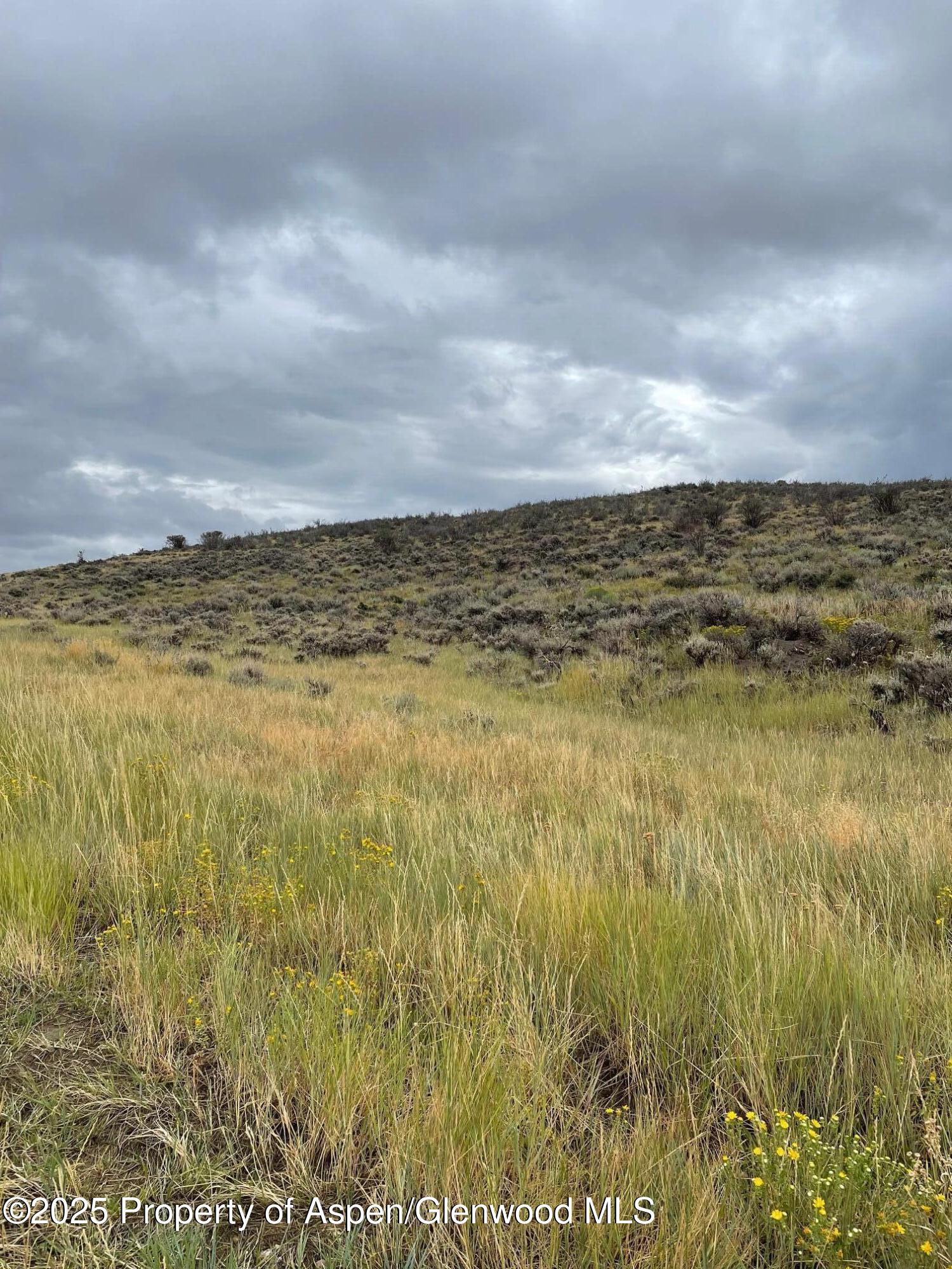 Tbd Pine Ridge Trail Craig, CO 81625 - Photo 6 of 10 a view of an ocean