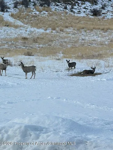 $220,000 | Tbd Pine Ridge Trail, Craig, CO 81625