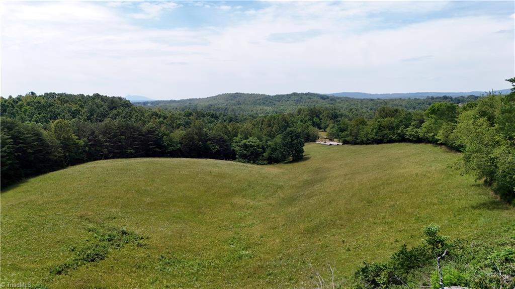 975 Cox Ridge Road Claudville, VA 24076 - Photo 5 of 50
