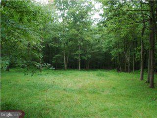 4912 Toll Gate Road New Hope, PA 18938 - Photo 2 of 3