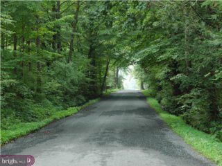 4912 Toll Gate Road New Hope, PA 18938 - Photo 3 of 3