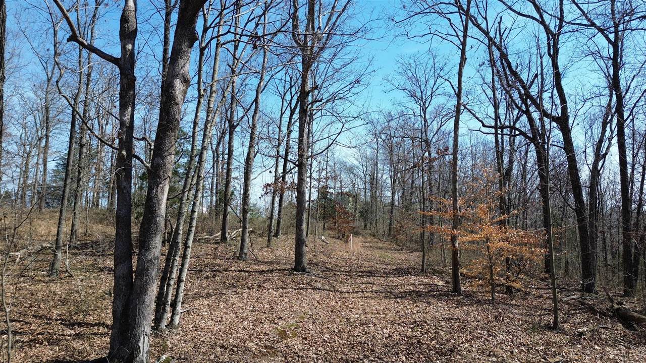20 A Riverside Benleo Road Bowling Green, KY 42101 - Photo 13 of 26 Gallery Image 13