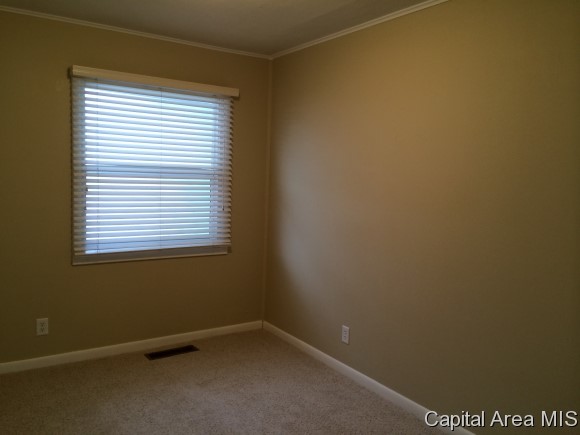 3309 Normandy Road Springfield, IL 62703 - Photo 18 of 20