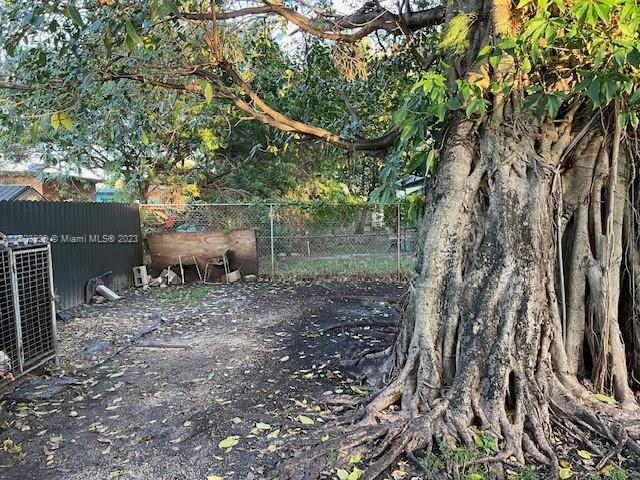 1755 Northwest 69th Street Miami, FL 33147 - Photo 5 of 36 a backyard of a house with lots of green space