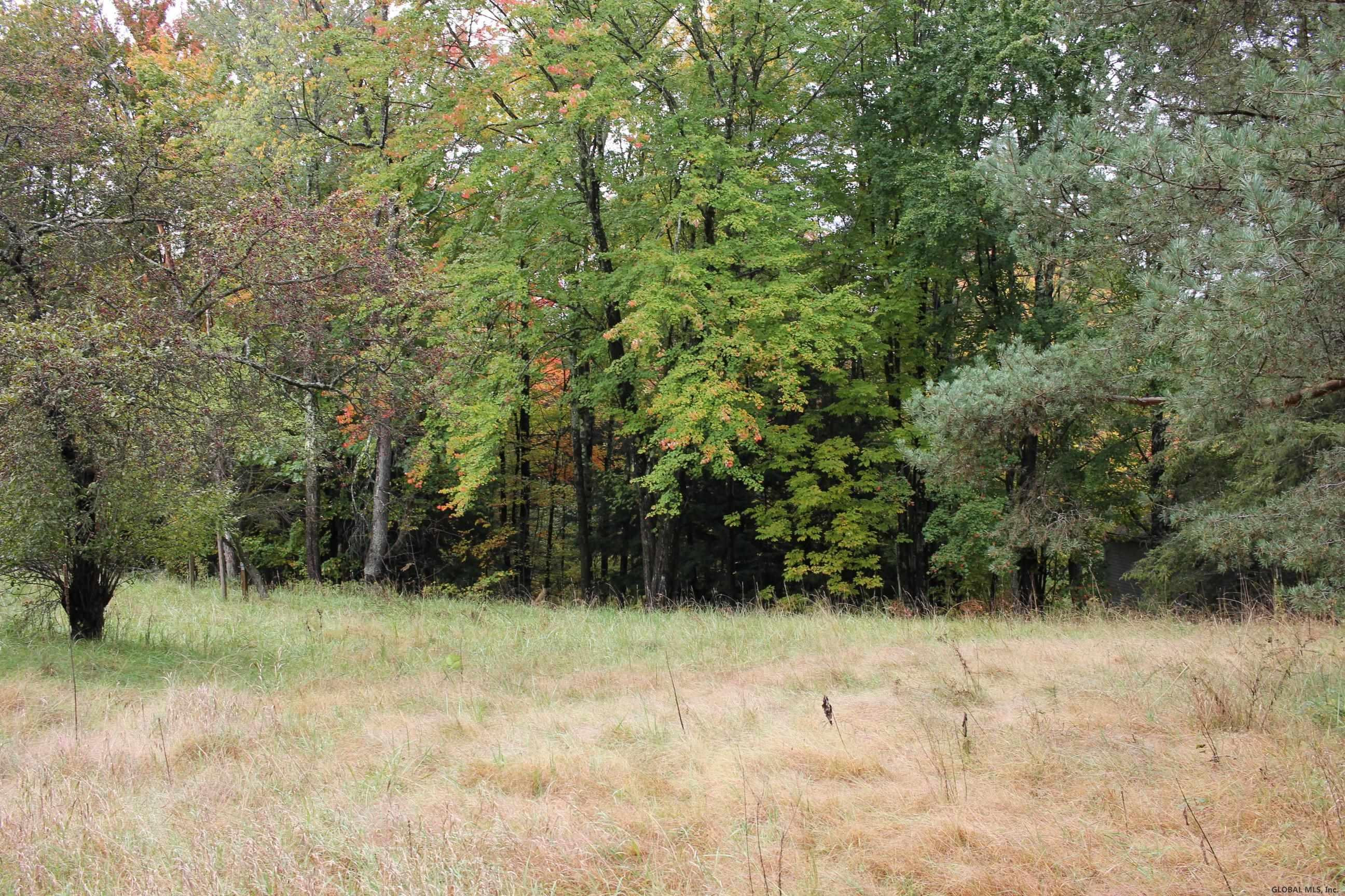 146 Lampman Road Broadalbin, NY 12025 - Photo 3 of 21 Photo 3