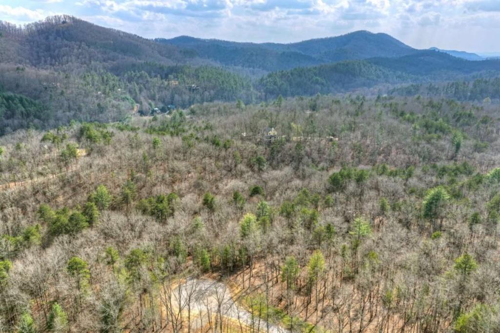 13 Rocky Ridge Mineral Bluff, GA 30559 - Photo 11 of 29 a view of a dry yard with mountains in the background