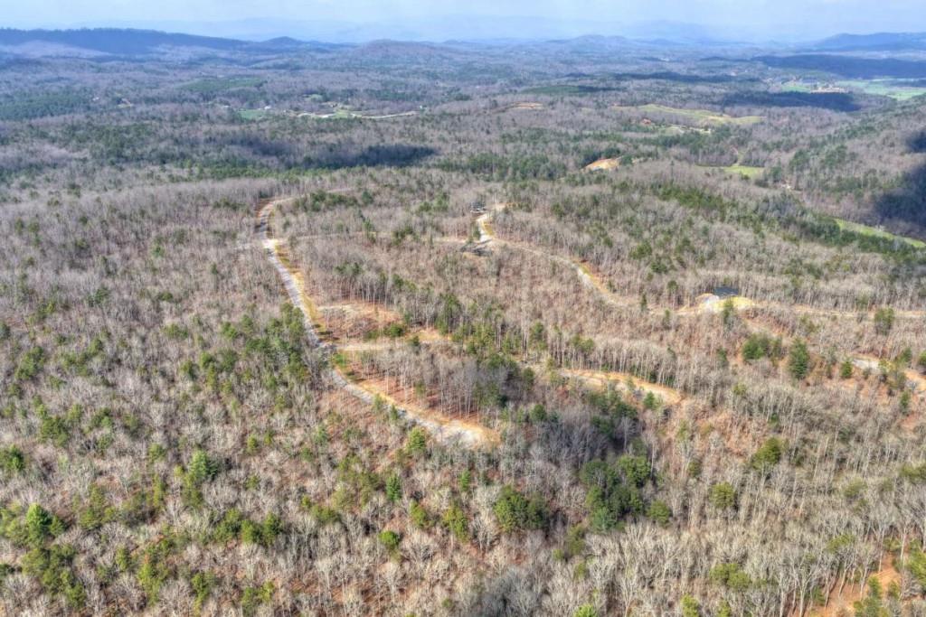 13 Rocky Ridge Mineral Bluff, GA 30559 - Photo 14 of 29