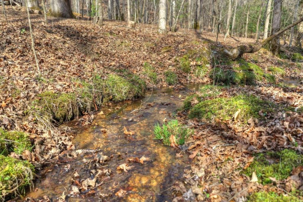 13 Rocky Ridge Mineral Bluff, GA 30559 - Photo 19 of 29 a view of a yard with plants and large trees