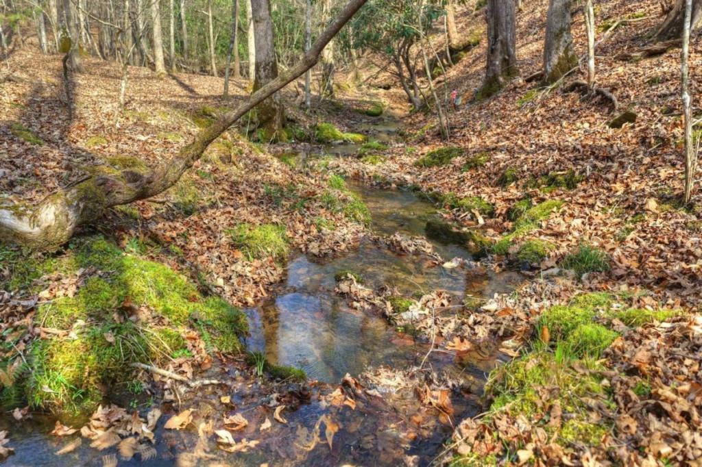 13 Rocky Ridge Mineral Bluff, GA 30559 - Photo 20 of 29 a yard with a tree