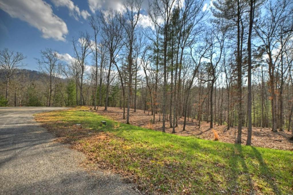 13 Rocky Ridge Mineral Bluff, GA 30559 - Photo 2 of 29 a view of a park with large trees
