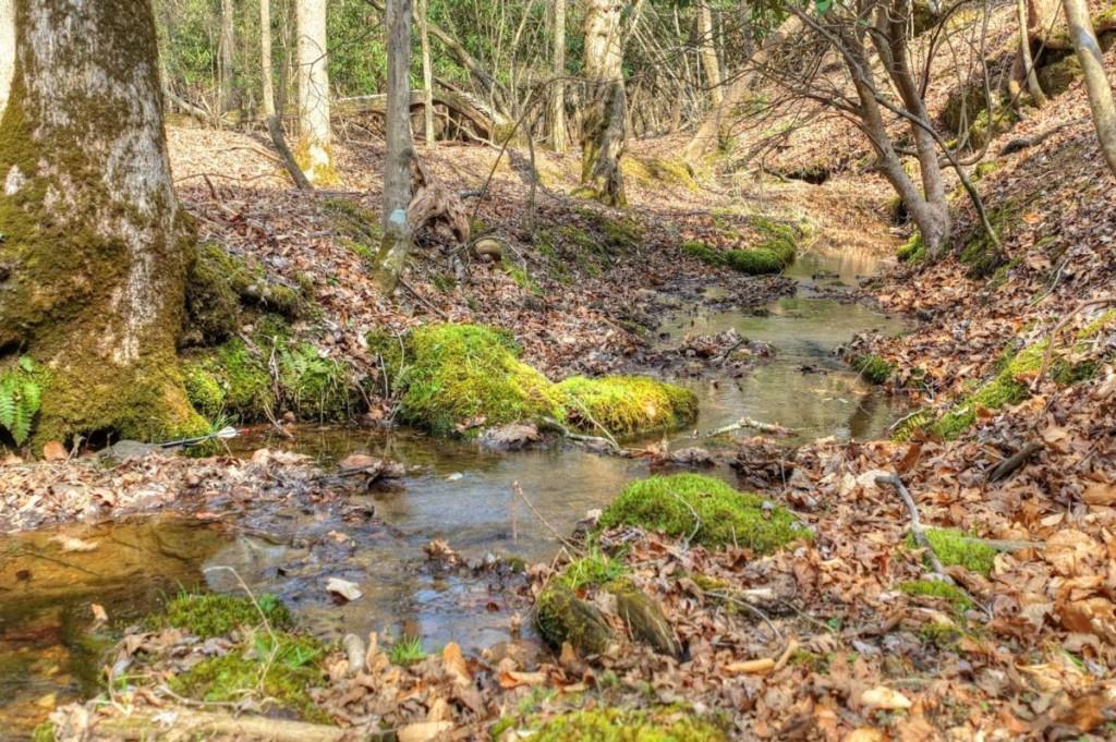 13 Rocky Ridge Mineral Bluff, GA 30559 - Photo 22 of 29 a backyard of a house with a yard and lake view