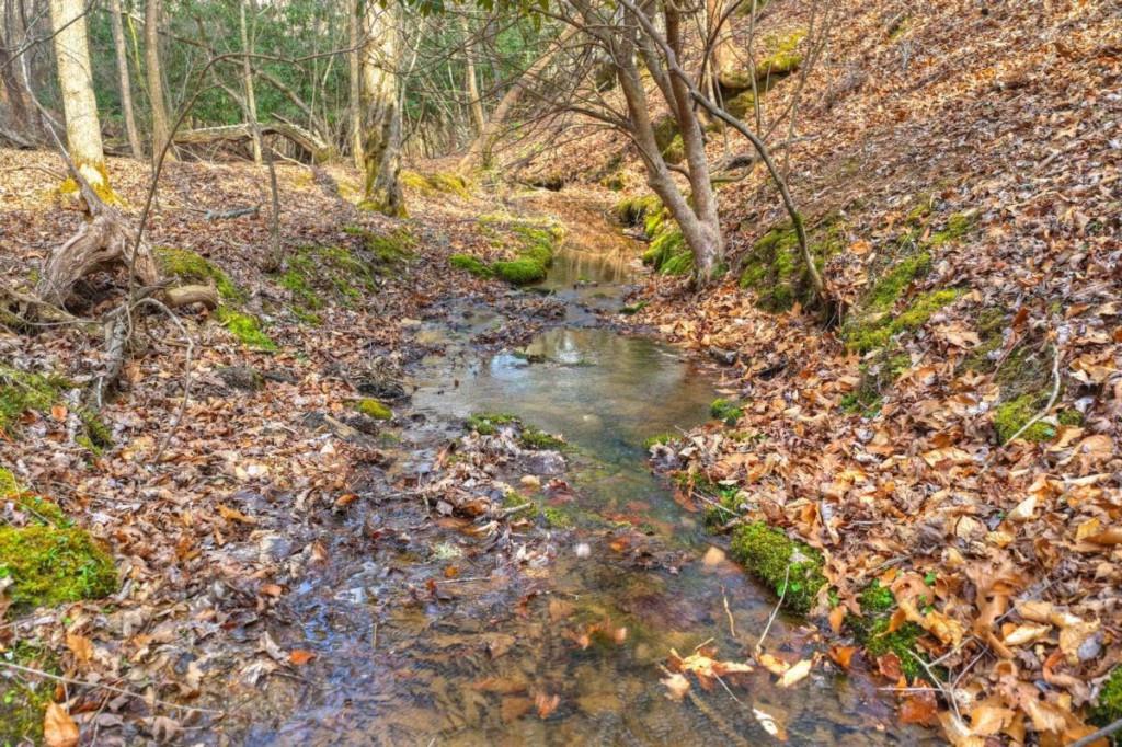 13 Rocky Ridge Mineral Bluff, GA 30559 - Photo 23 of 29 a backyard of a house with lots of green space