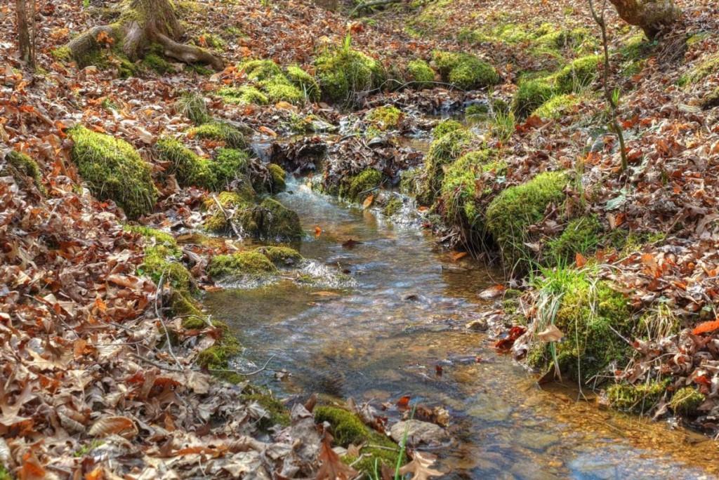 13 Rocky Ridge Mineral Bluff, GA 30559 - Photo 24 of 29 a view of a tree