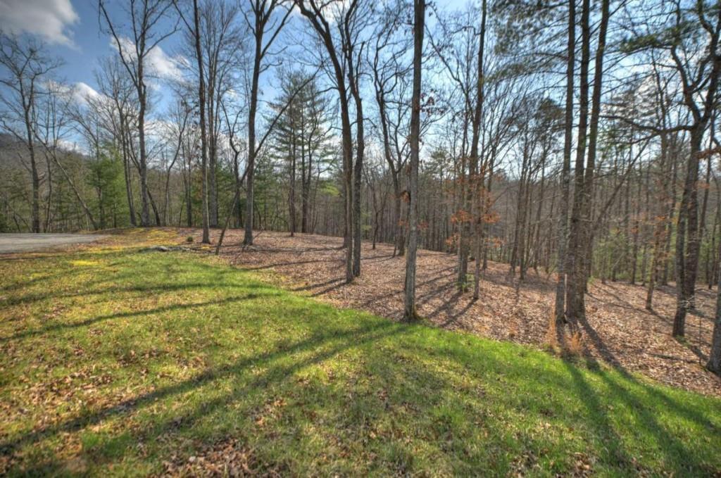 13 Rocky Ridge Mineral Bluff, GA 30559 - Photo 3 of 29 a view of outdoor space with trees