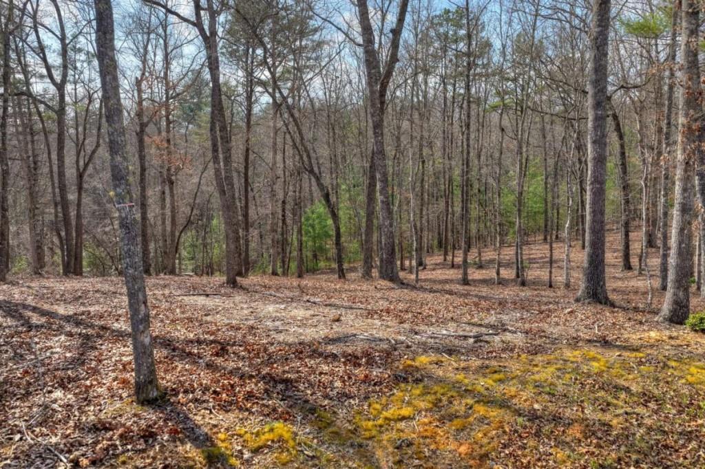 13 Rocky Ridge Mineral Bluff, GA 30559 - Photo 5 of 29 a view of a backyard with trees
