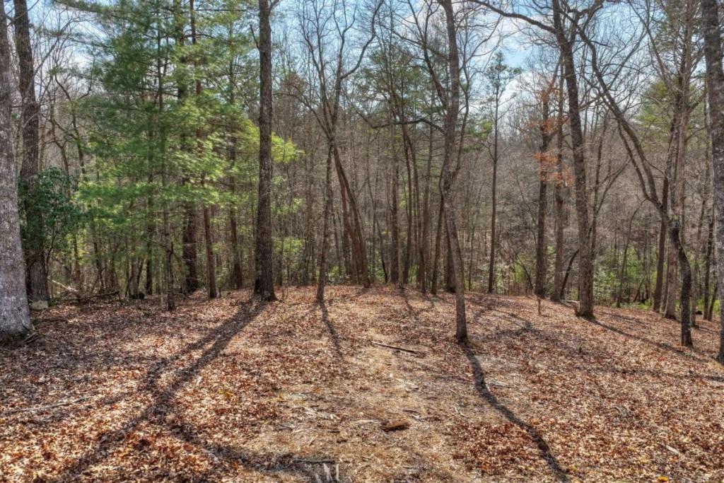 13 Rocky Ridge Mineral Bluff, GA 30559 - Photo 6 of 29 a backyard of a house with lots of trees