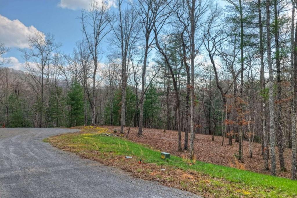 13 Rocky Ridge Mineral Bluff, GA 30559 - Photo 7 of 29 a view of a park with large trees