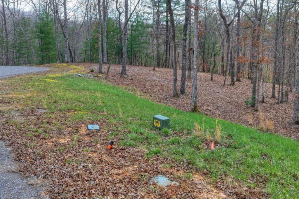 13 Rocky Ridge Mineral Bluff, GA 30559 - Photo 8 of 29 a view of a backyard with large trees