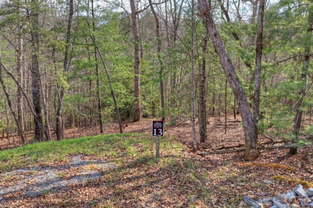 13 Rocky Ridge Mineral Bluff, GA 30559 - Photo 9 of 29 a view of a park with large trees