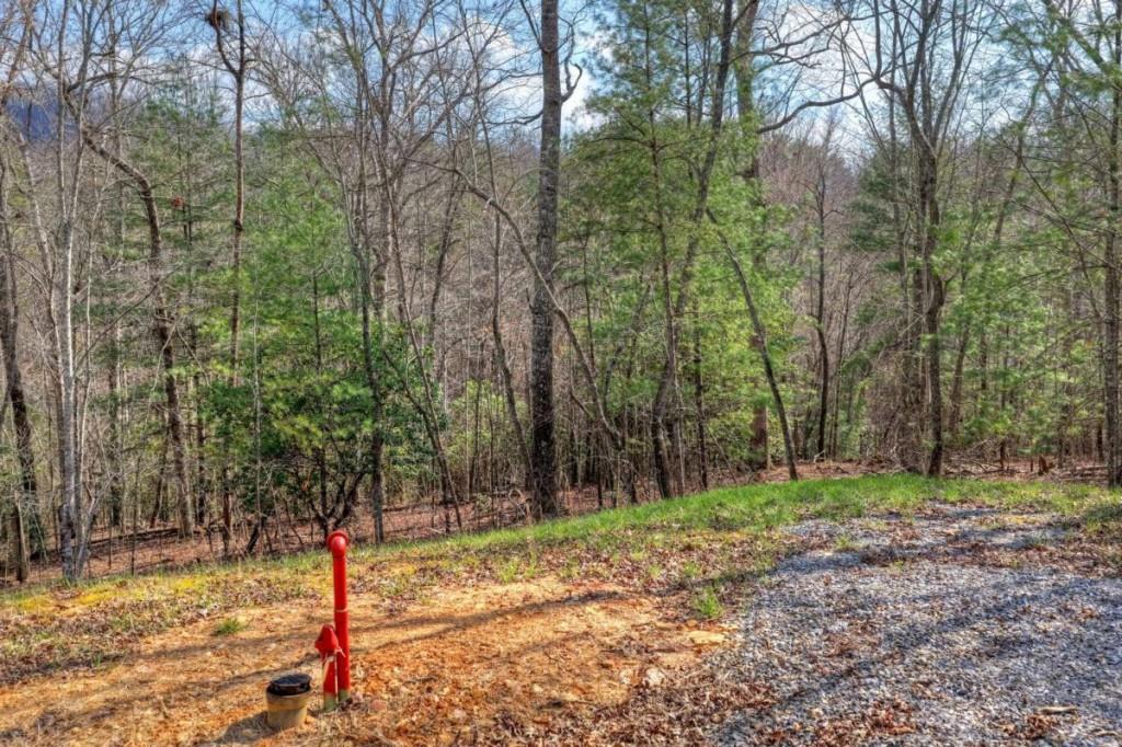 13 Rocky Ridge Mineral Bluff, GA 30559 - Photo 10 of 29 a backyard of a house with lots of green space