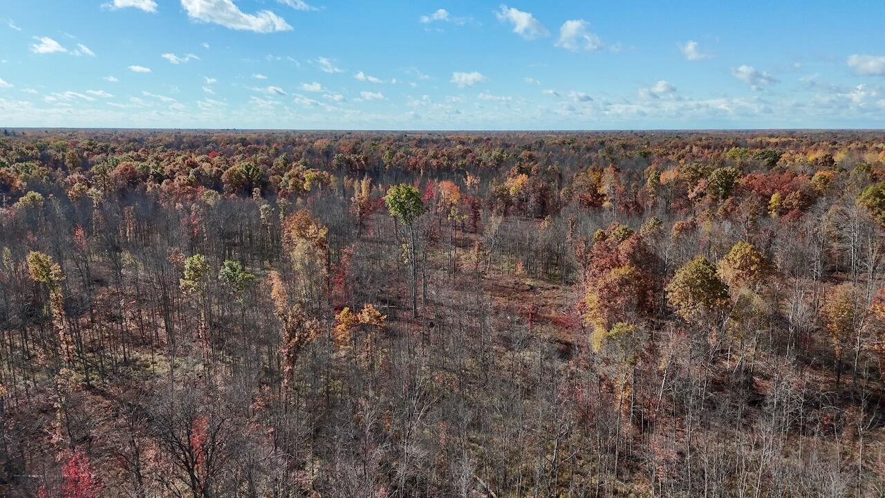 West Beamish Road Sanford, MI 48657 - Photo 23 of 27