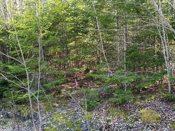 $25,000 | Lot 14 Merganser Drive, Gouldsboro, ME 04607