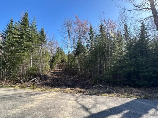 $35,000 | Lot 14 Merganser Drive, Gouldsboro, ME 04607