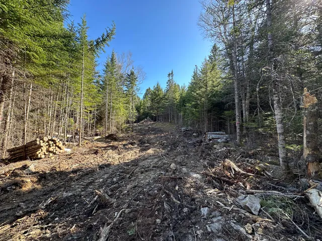 $35,000 | Lot 14 Merganser Drive, Gouldsboro, ME 04607