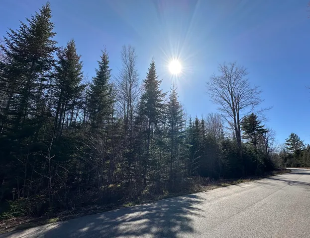 $35,000 | Lot 14 Merganser Drive, Gouldsboro, ME 04607
