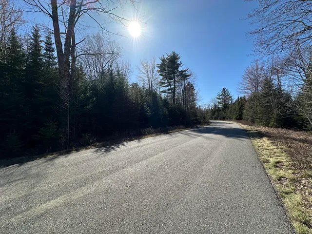 $35,000 | Lot 14 Merganser Drive, Gouldsboro, ME 04607
