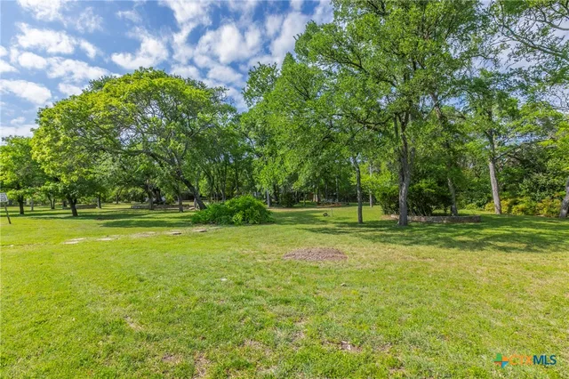 a view of a park with large trees