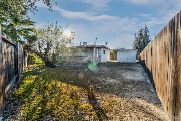 a view of a yard with a tree