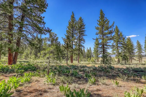 $460,000 | 7455 Lahontan Drive, Truckee, CA 96161