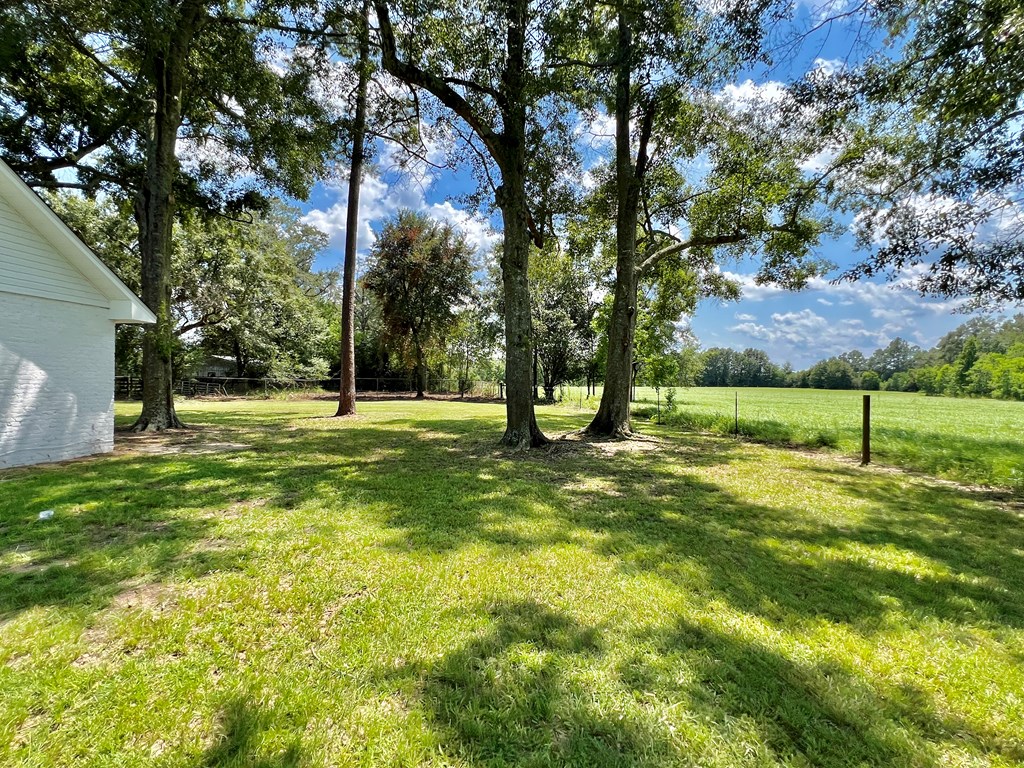1091 Old Geneva Road Samson, AL 36477 - Photo 62 of 62