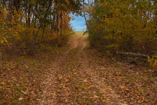 $879,000 | Tbd Tbd Old B And O Road, Raphine, VA 24472