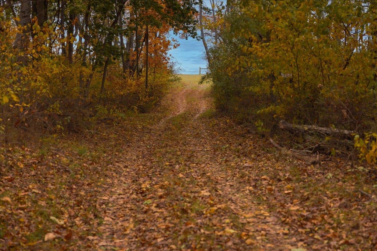 Tbd Tbd Old B And O Road Raphine, VA 24472 - Photo 13 of 36