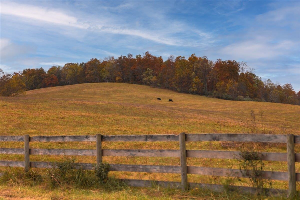 Tbd Tbd Old B And O Road Raphine, VA 24472 - Photo 20 of 36
