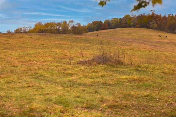 $879,000 | Tbd Tbd Old B And O Road, Raphine, VA 24472
