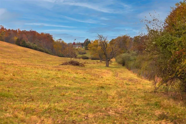 $879,000 | Tbd Tbd Old B And O Road, Raphine, VA 24472