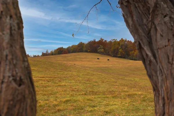 $879,000 | Tbd Tbd Old B And O Road, Raphine, VA 24472