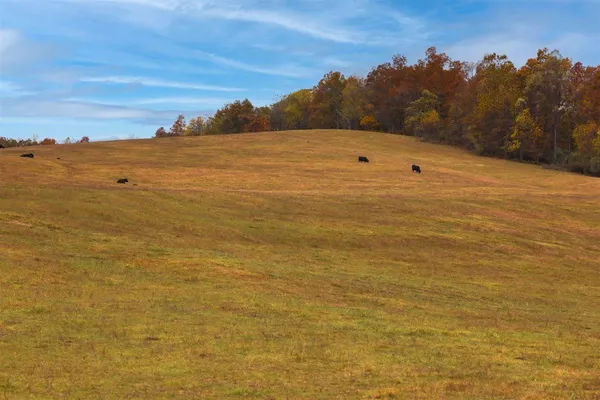$879,000 | Tbd Tbd Old B And O Road, Raphine, VA 24472