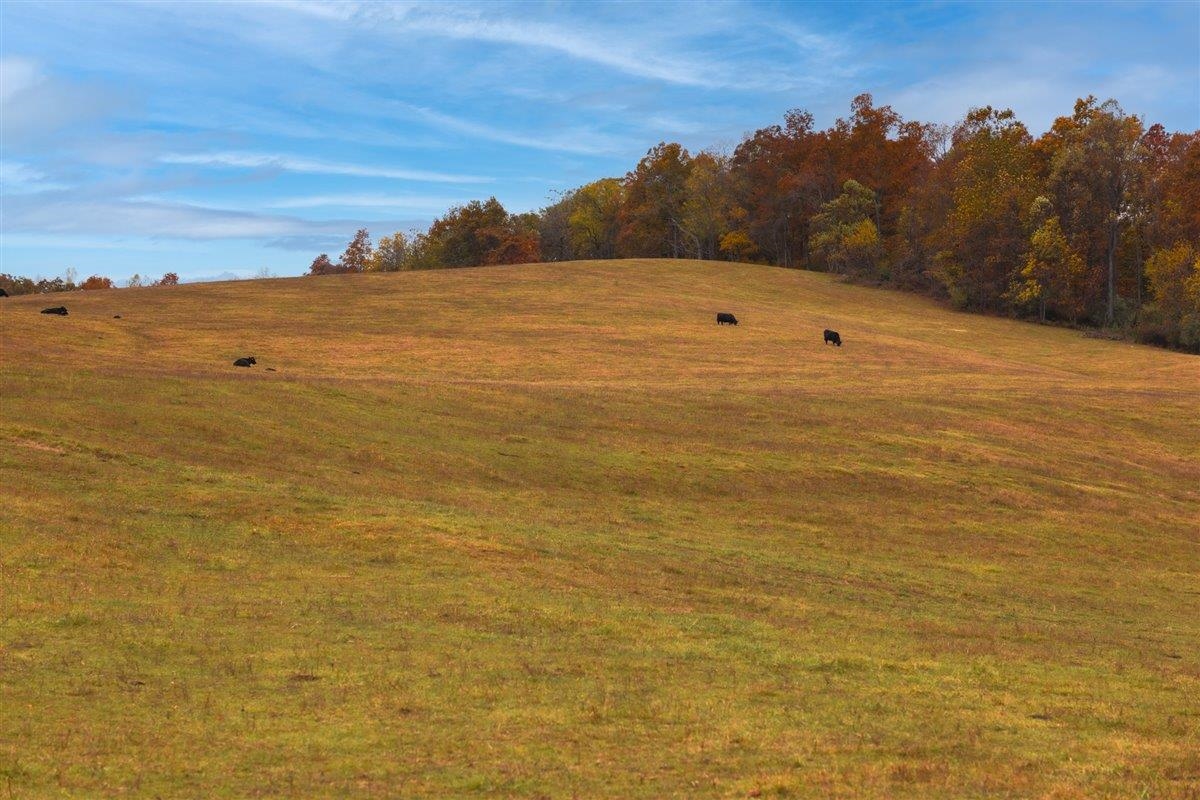 Tbd Tbd Old B And O Road Raphine, VA 24472 - Photo 26 of 36