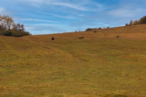 $879,000 | Tbd Tbd Old B And O Road, Raphine, VA 24472