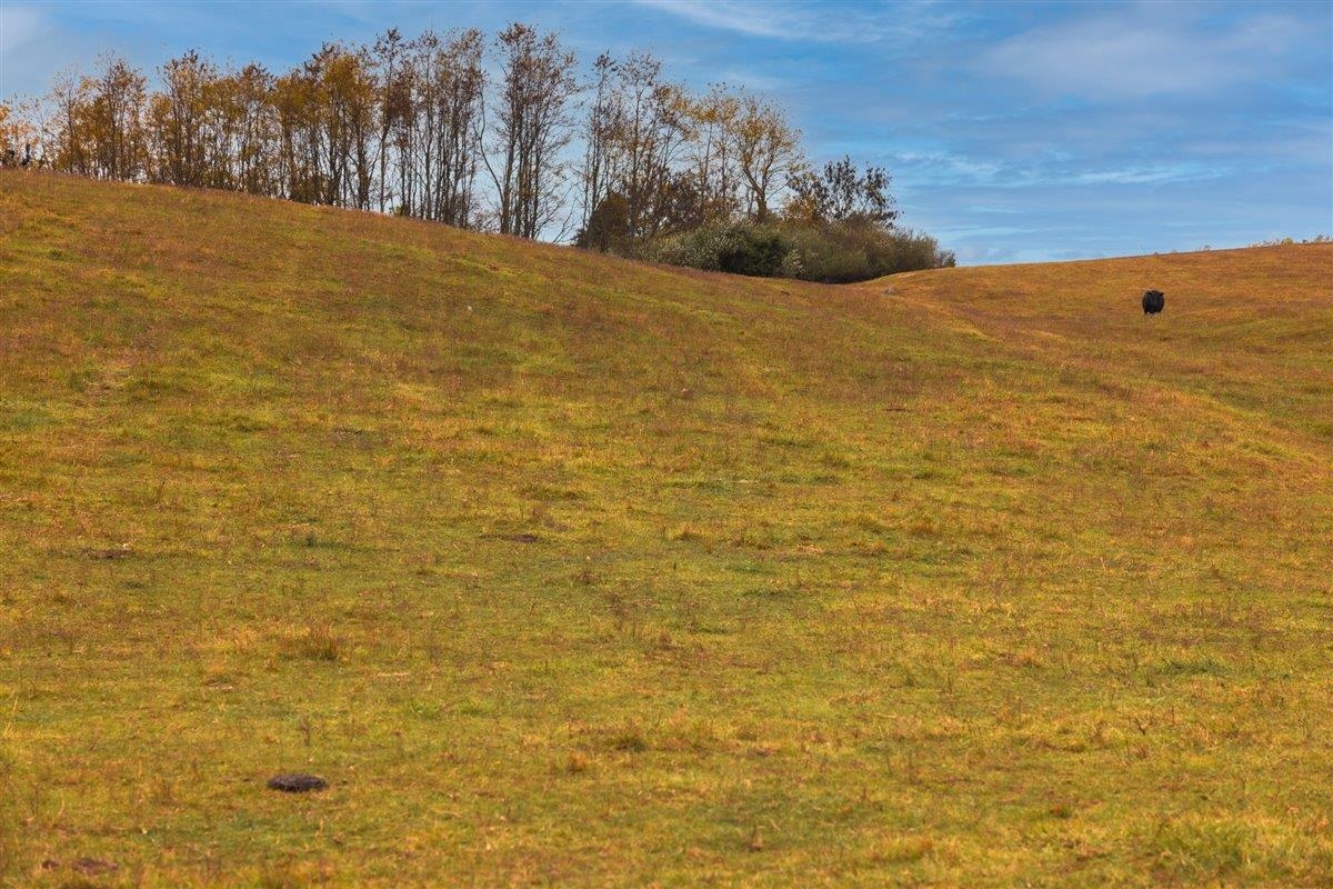 Tbd Tbd Old B And O Road Raphine, VA 24472 - Photo 28 of 36