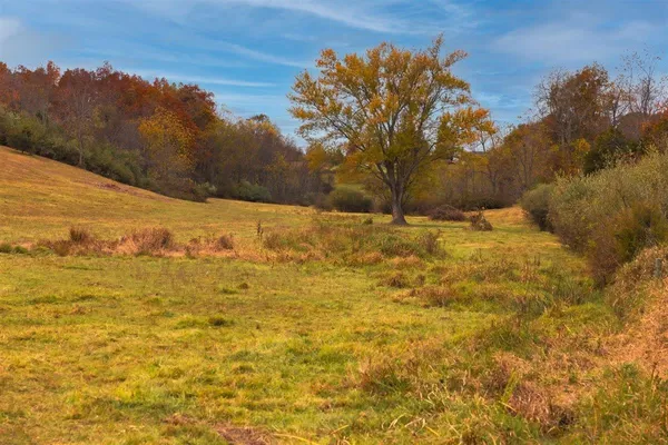 $879,000 | Tbd Tbd Old B And O Road, Raphine, VA 24472