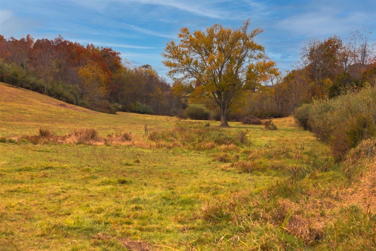 Tbd Tbd Old B And O Road Raphine, VA 24472 - Photo 29 of 36